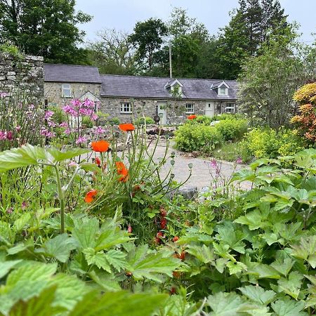 Llandysul Crug Yr Eryr Isaf 빌라 외부 사진