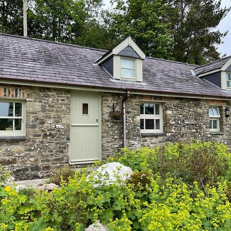 Llandysul Crug Yr Eryr Isaf 빌라 외부 사진