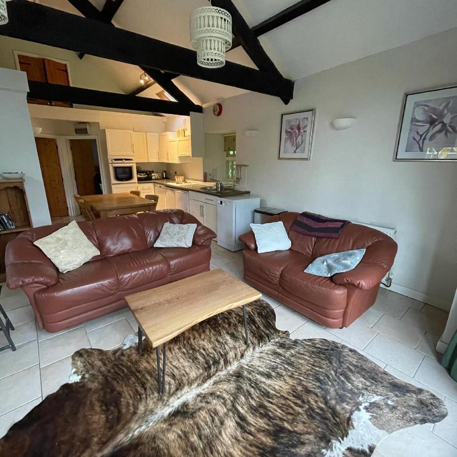 Llandysul Crug Yr Eryr Isaf 빌라 외부 사진