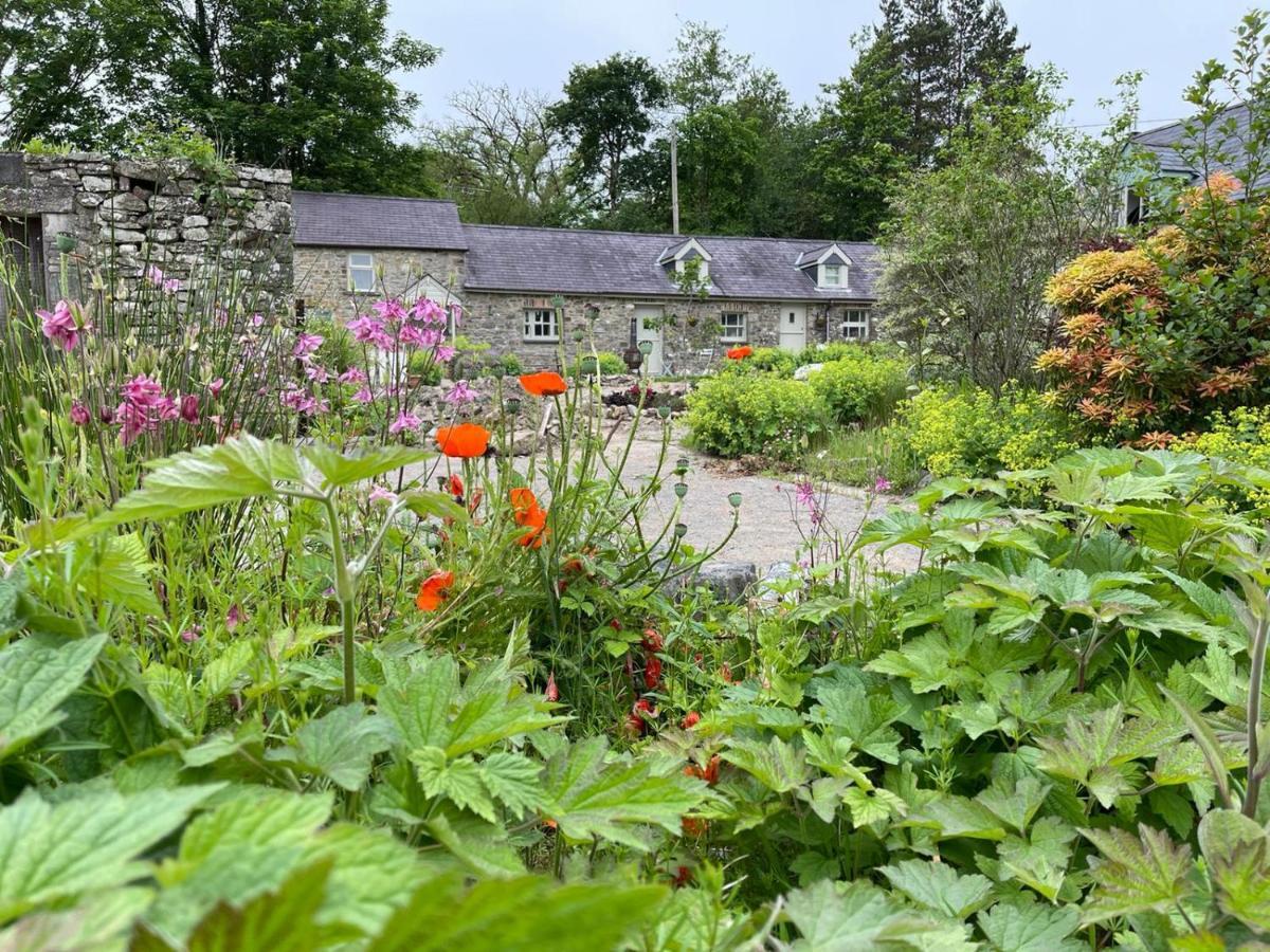 Llandysul Crug Yr Eryr Isaf 빌라 외부 사진