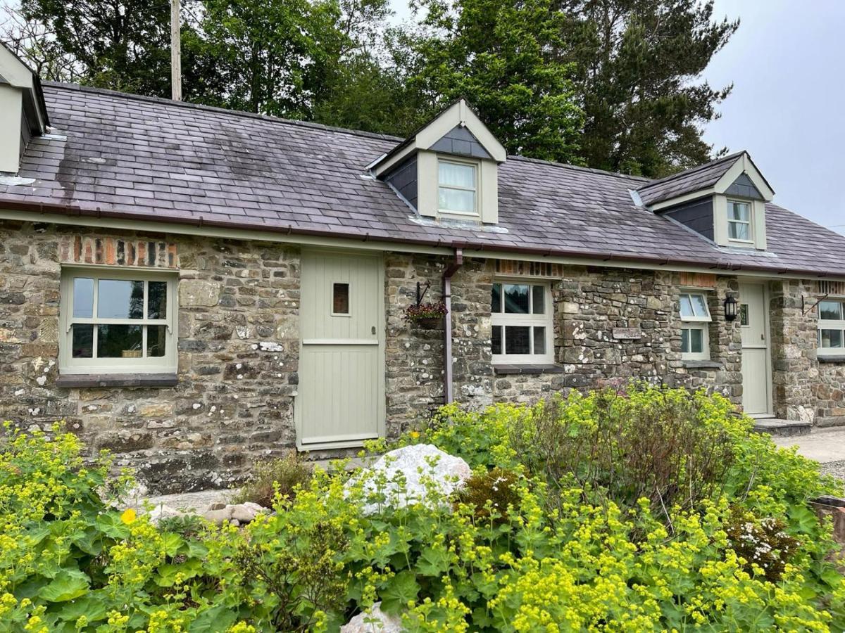 Llandysul Crug Yr Eryr Isaf 빌라 외부 사진