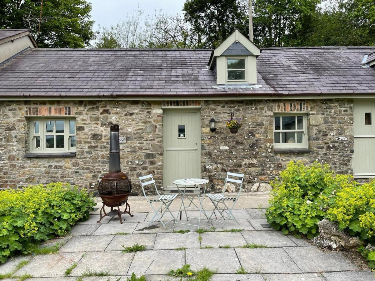 Llandysul Crug Yr Eryr Isaf 빌라 외부 사진
